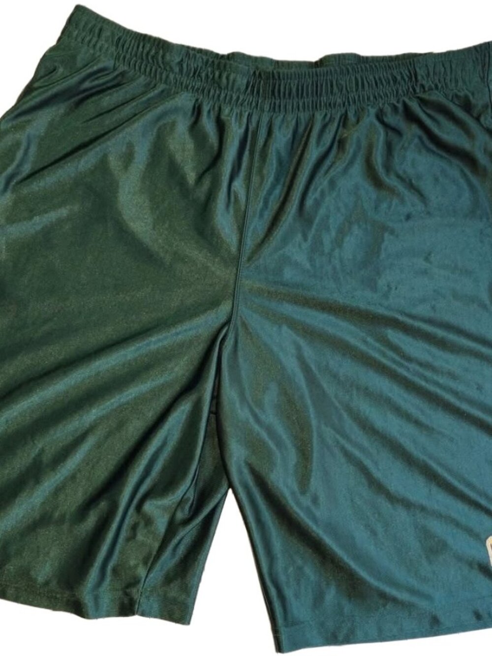 Men's Rare 90's Vintage XL Green & Yellow Pro Edge Oregon Ducks Athletic Shorts